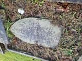 image of grave number 973729